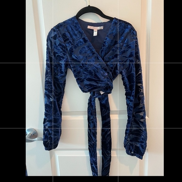 Hutch Velvet Claudia Crop Top - Picture 3 of 16